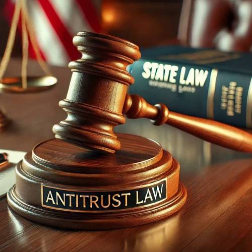 Competition & Antitrust Lawyer in Delhi